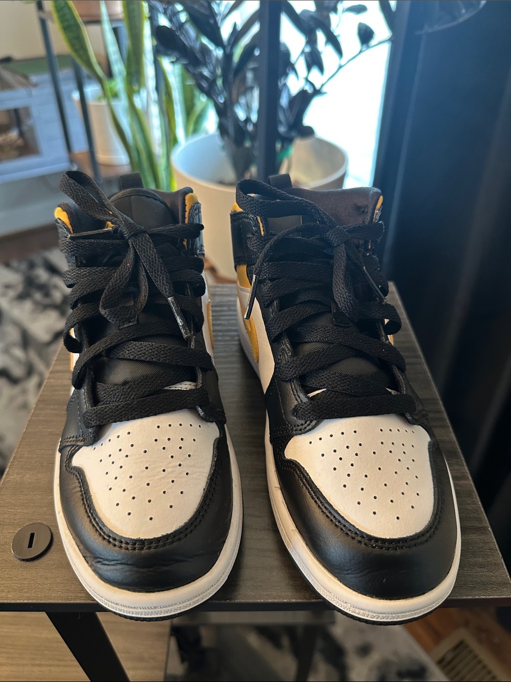 Jordan 1 MID PS 2Y